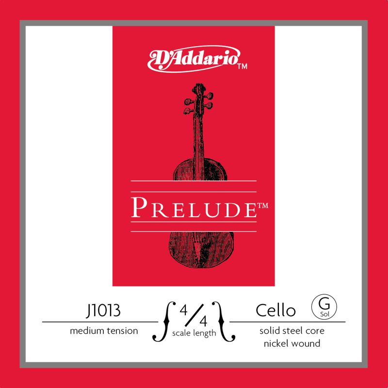 DADDARIO J1013 4/4M 1