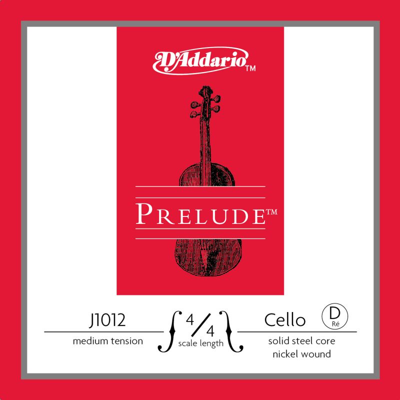 DADDARIO J1012 4/4M 1