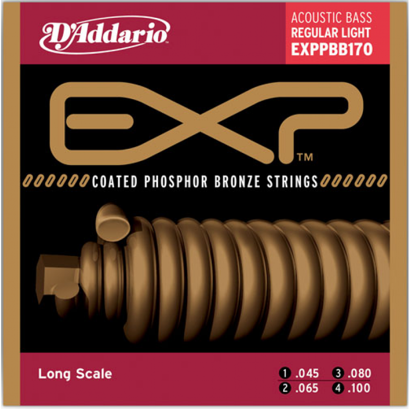 DADDARIO EXPPBB170 1