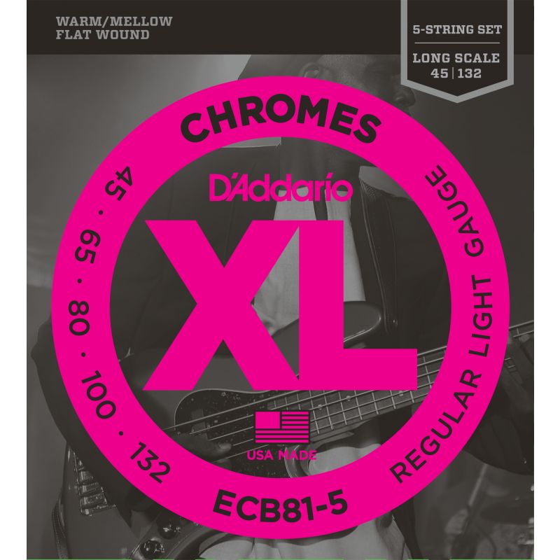 DADDARIO ECB81-5 1