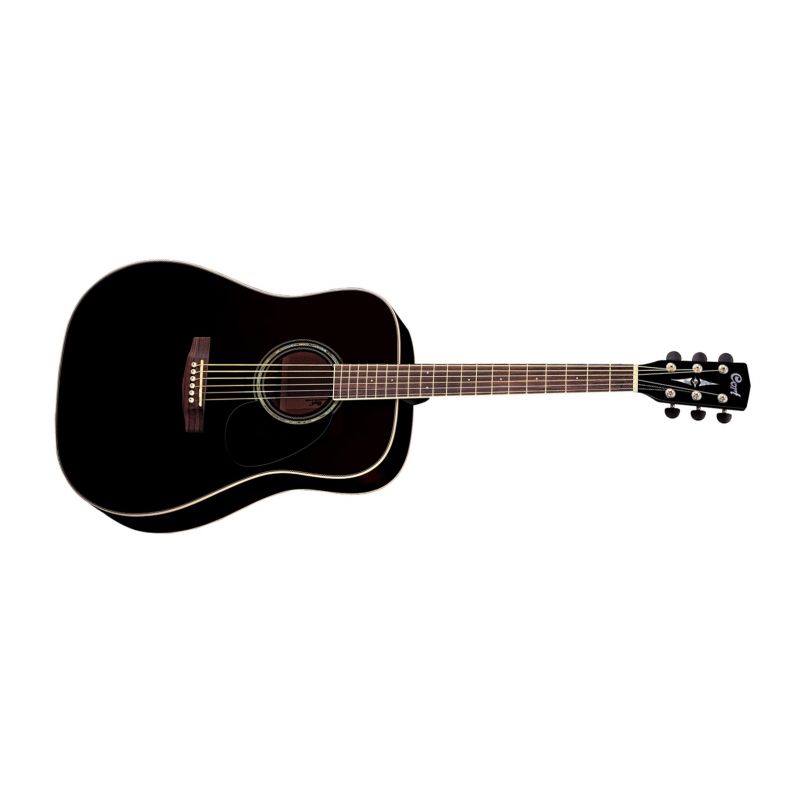 CORT EARTH100BK 1