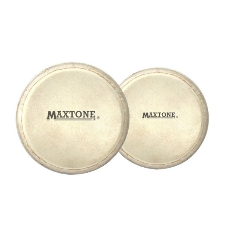 MAXTONE BC-13DH 1