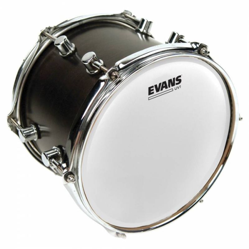 Evans B14UV1 14 Inc Kumlu Trampet Derisi 2