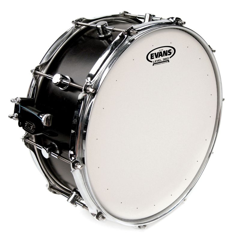 EVANS B14HDD 1