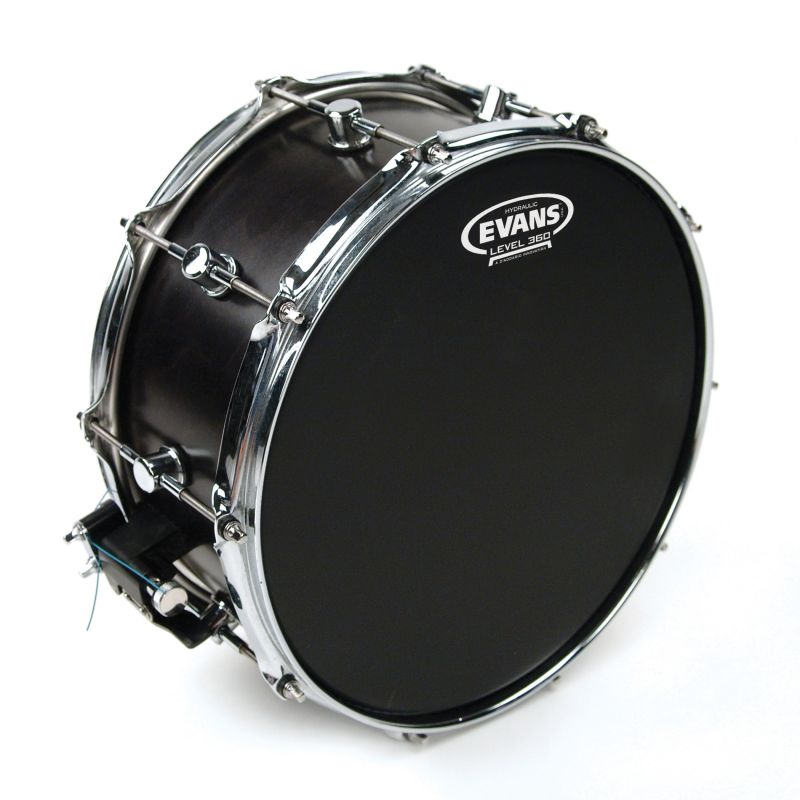 EVANS B14HBG 14 INC TRAMPET DERİSİ 1