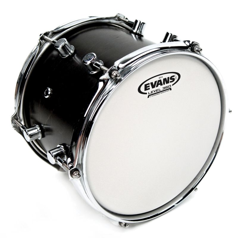 EVANS B12G14 1
