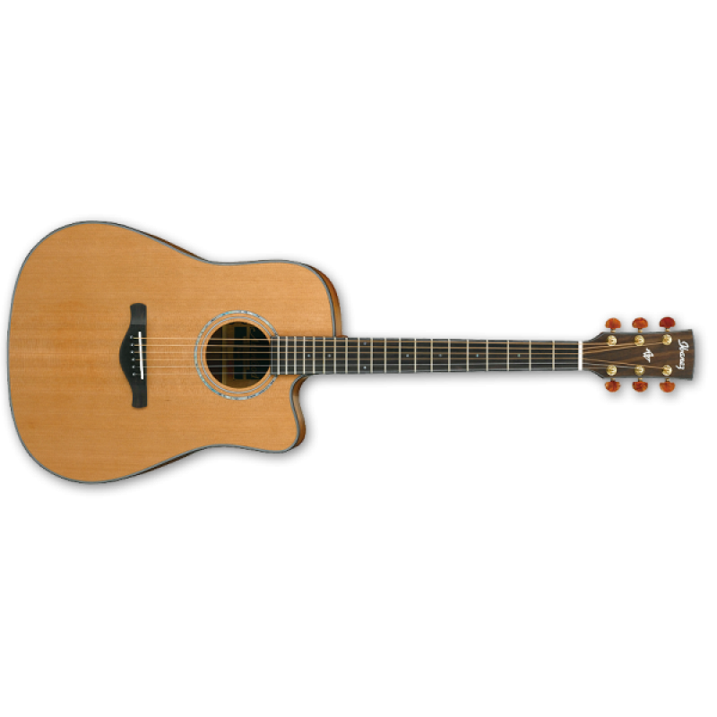 IBANEZ AW3050CE-LG 1