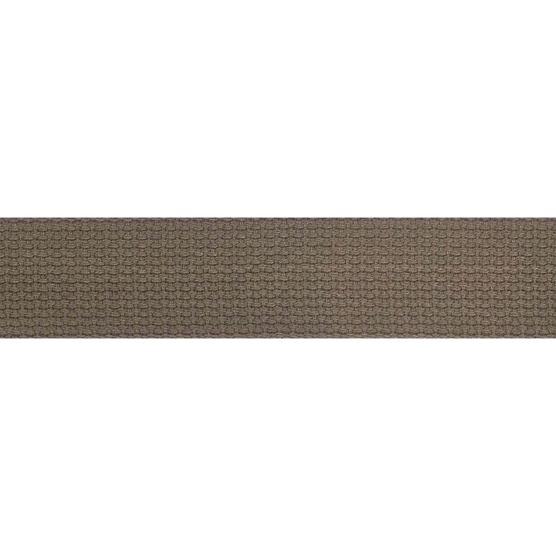 PLANETWAVES 50CT02 1