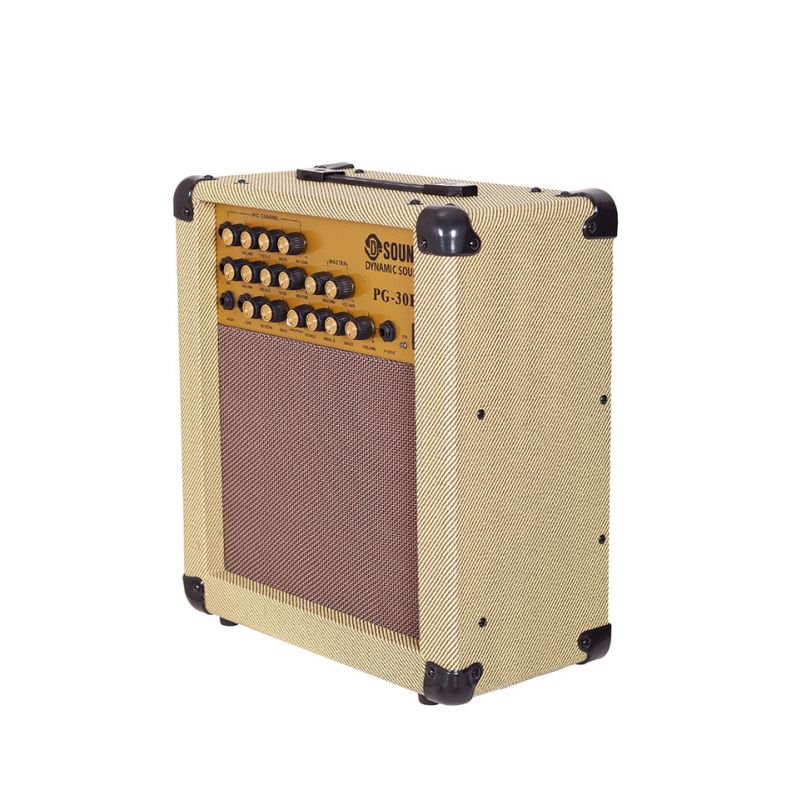 D-SOUND PG-30R ENSTRUMAN ANFİSİ 1