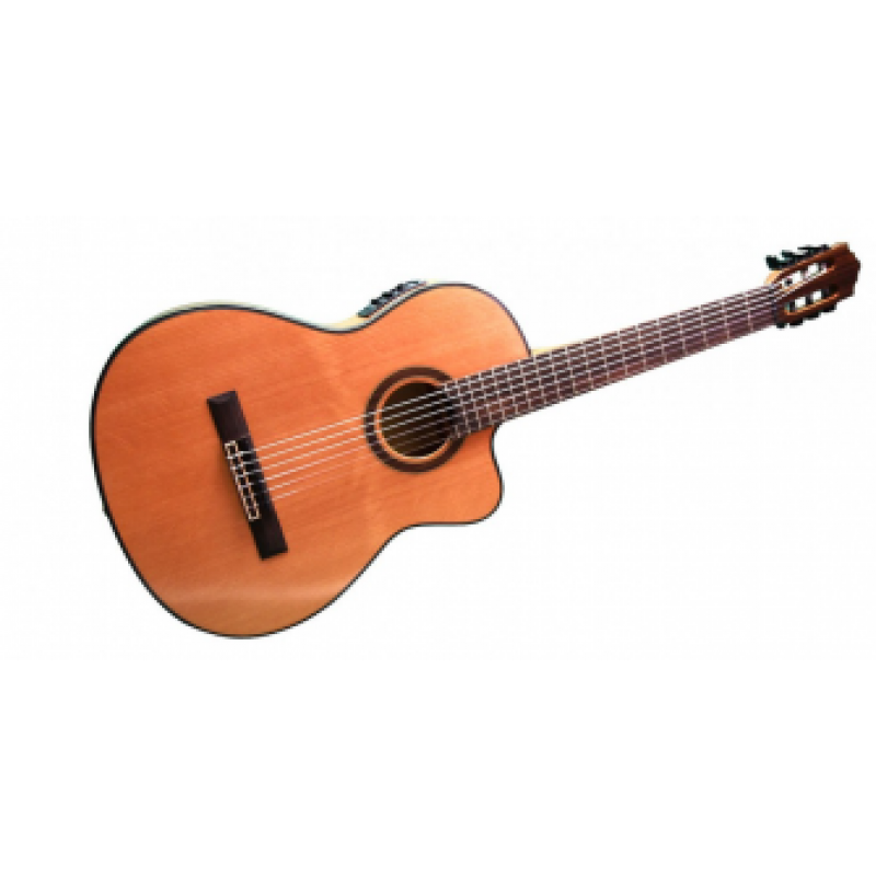 Solares SLS-44CEQ Elektro Klasik Gitar  (Taşıma Çantası Hediyeli) 1