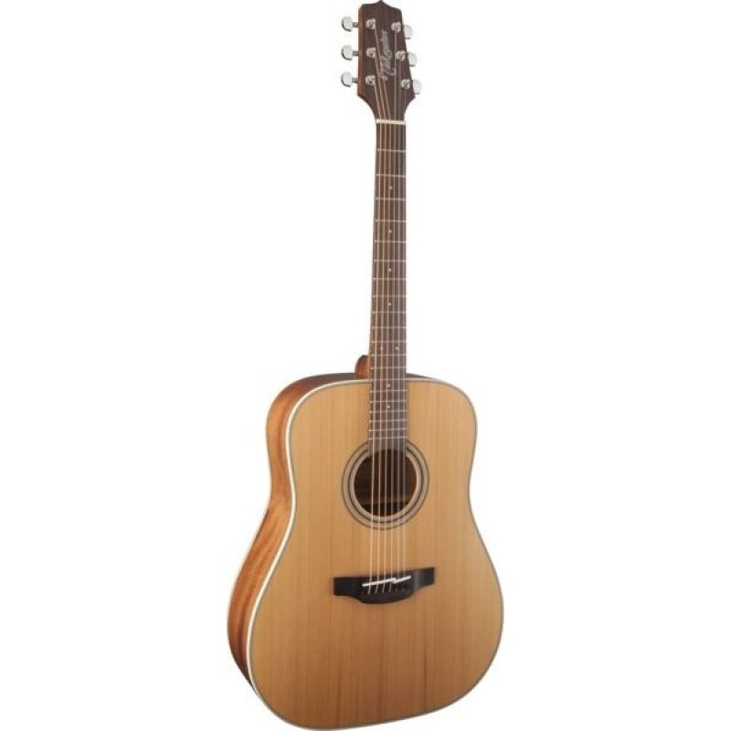 Takamine GD20-NS Akustik Gitar 1