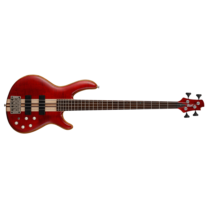 CORT A4PLUS FMMH OPBC 1