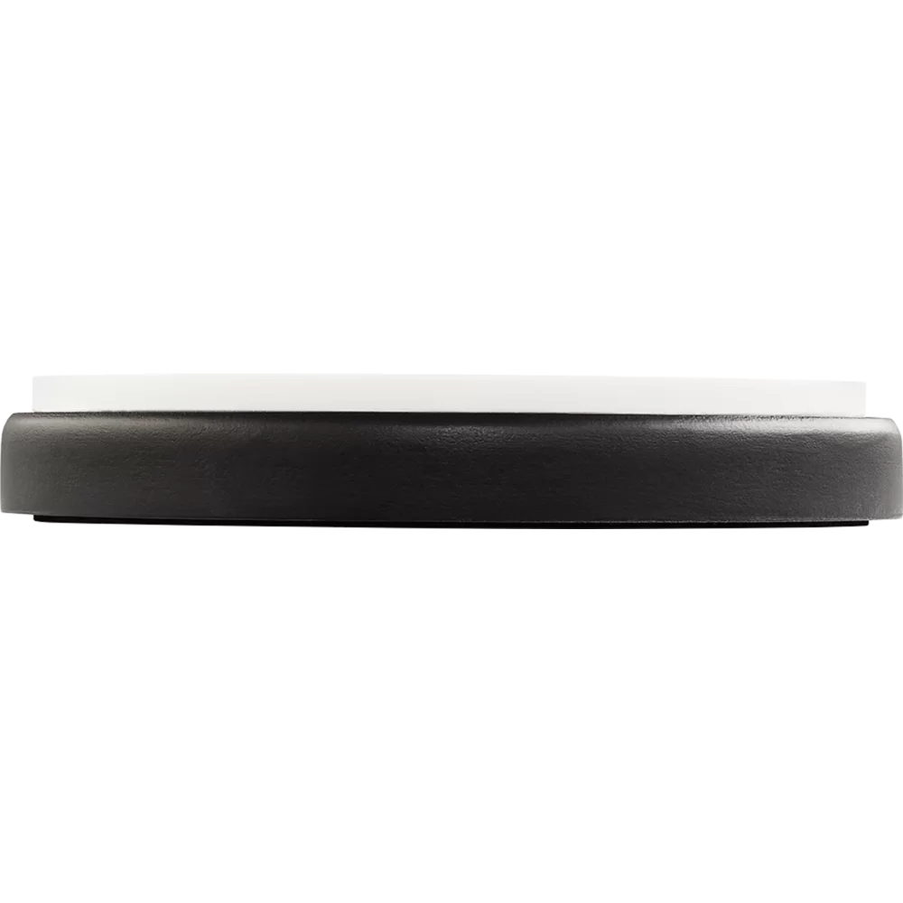 Meinl MPP-6-TL Thomas Lang 6" Çalışma Pedi 5