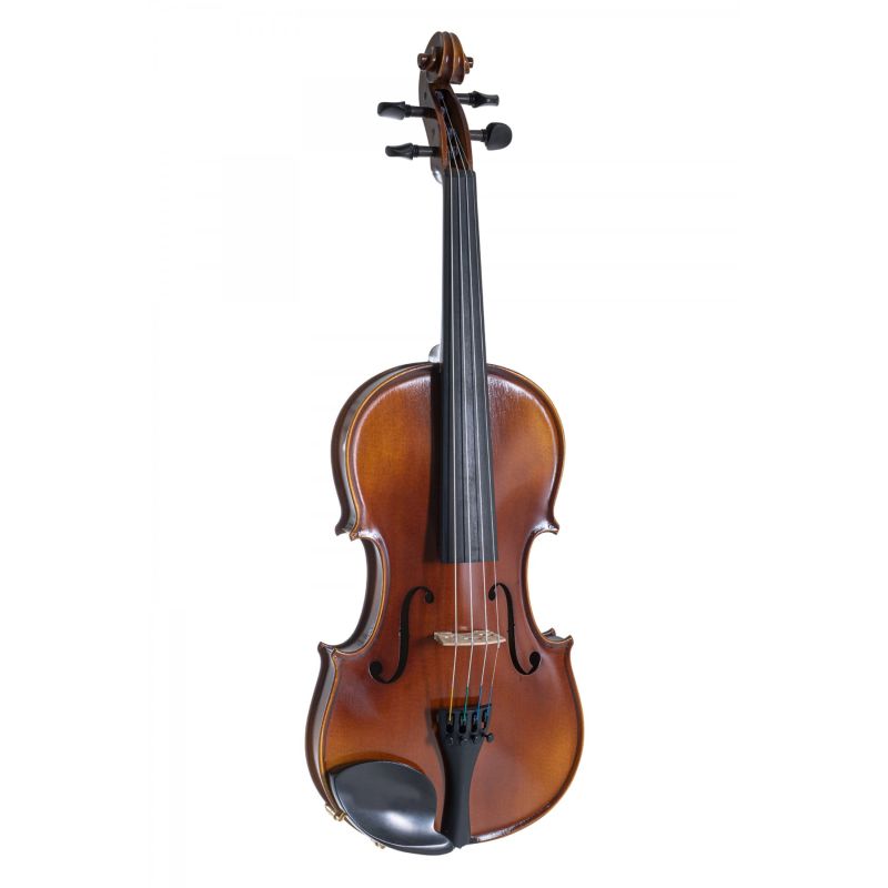 Gewa Allegro VL1 4/4 Keman 1