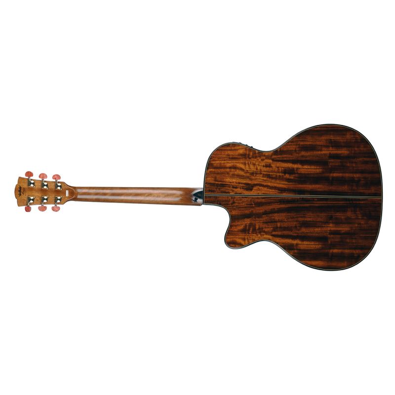 Merida DG-15FOGACES Diana Elektro Akustik Gitar 3