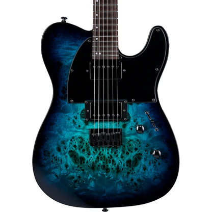 ESP LTD TE-200DX Blue Burst Elektro Gitar 1