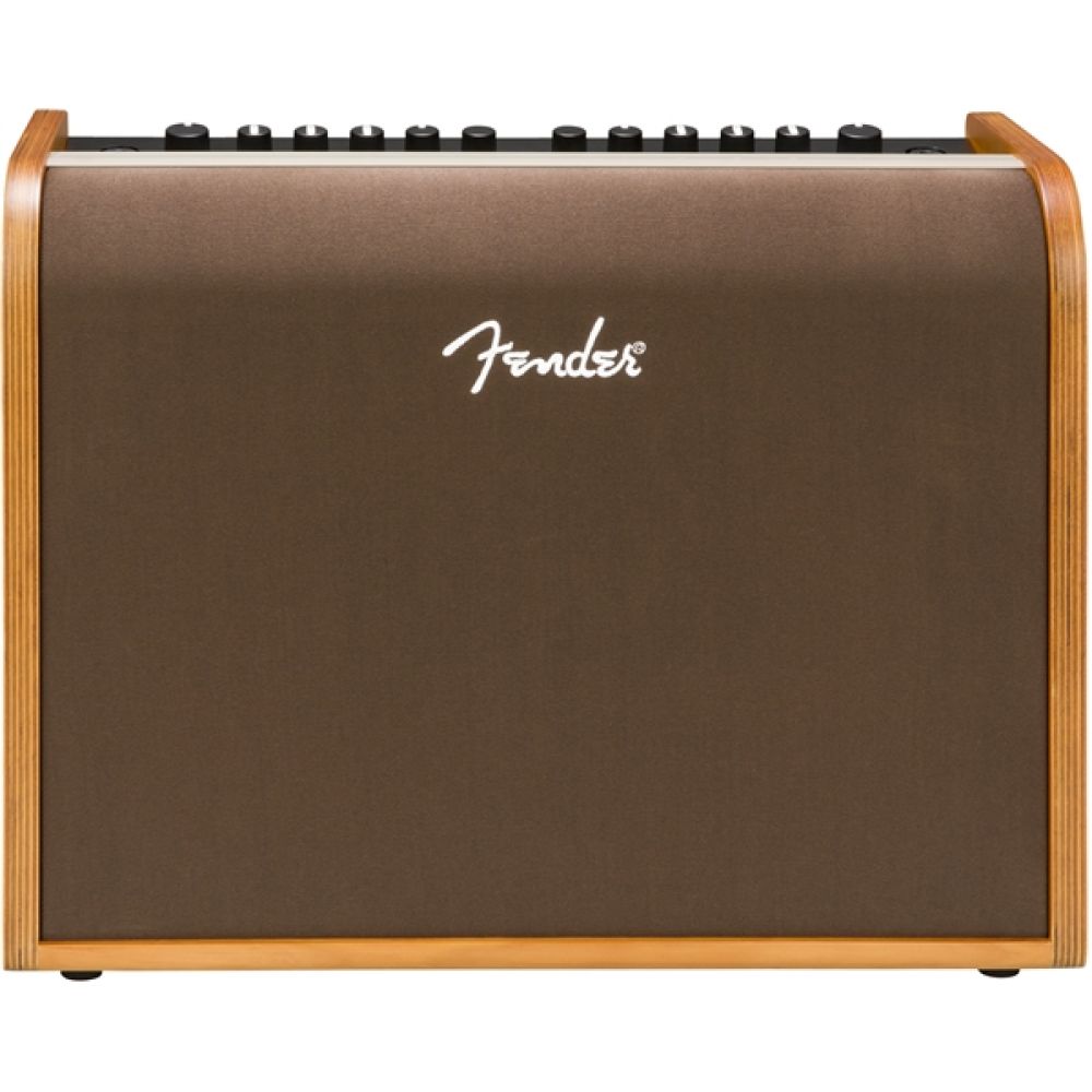 Fender Acoustic 100 UK Akustik Gitar Amfisi 1
