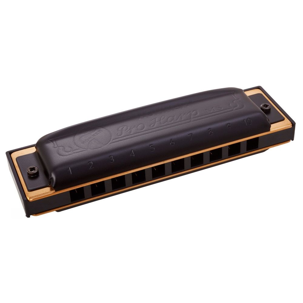 Hohner Pro Harp F#-major Mızıka 1