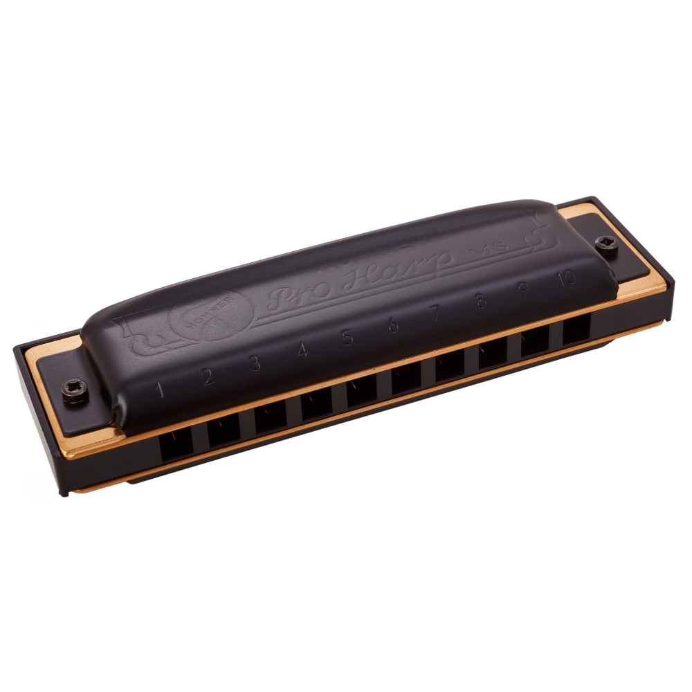 Hohner Pro Harp F#-major Mızıka 2