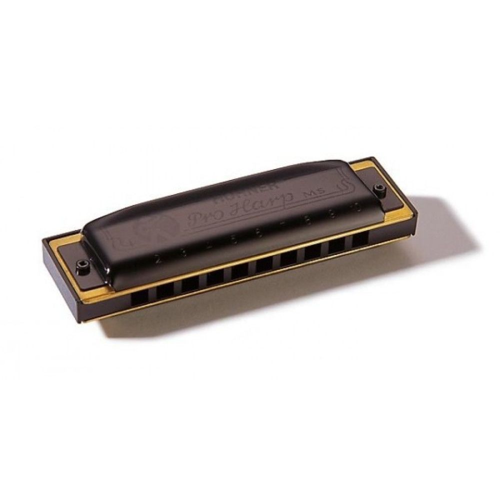 Hohner M564096P Pro Harp Ab-major Mızıka 1