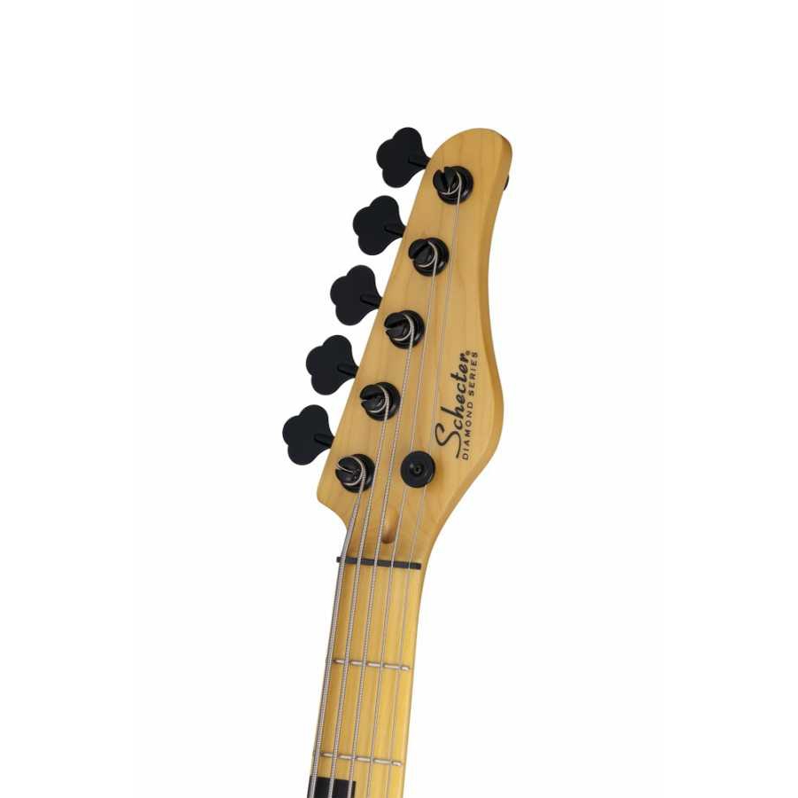 Schecter Model-T Session-5 Bas Gitar (Aged Natural Satin) 4