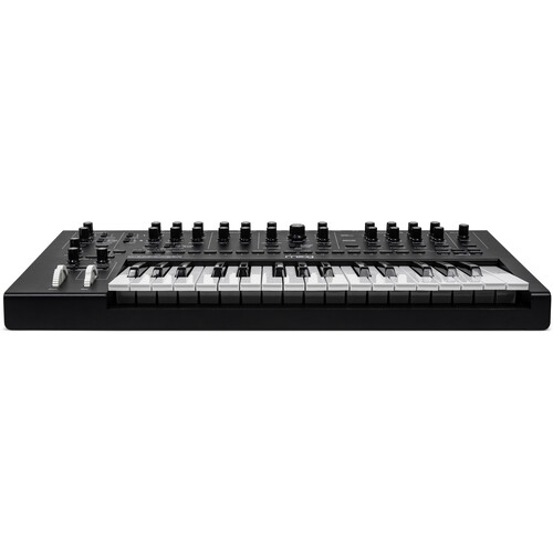 Moog Messenger Monofonik Analog Synthesizer 3