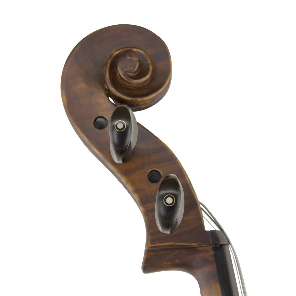Carlovy CLA6-3/4 Çello 3/4 4