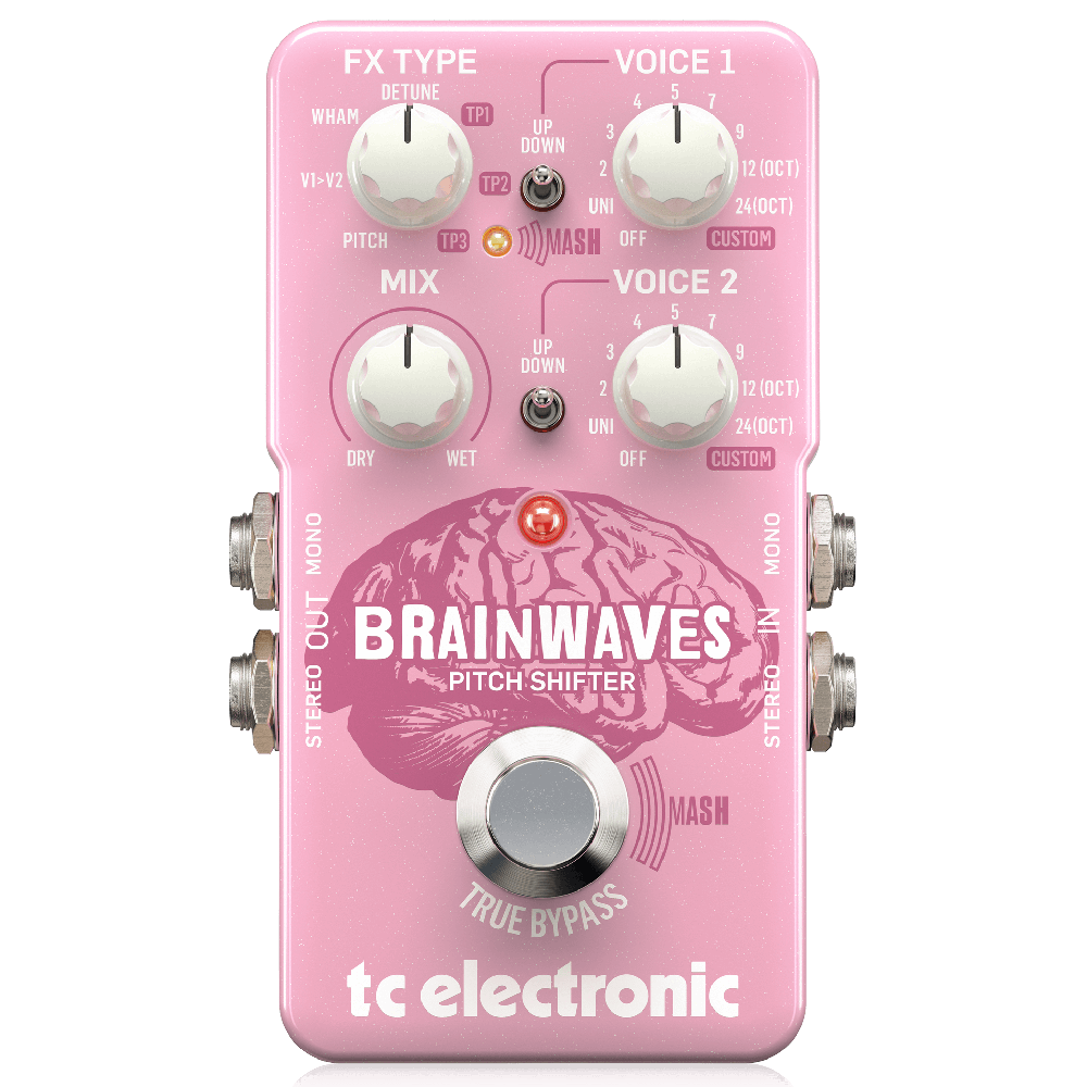 TC Electronic BRAINWAVES PITCH SHIFTER 1