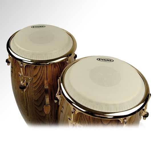 EVANS EC1100E 11" DERİ TRİ-CENTER KONGA EXTENDED 1
