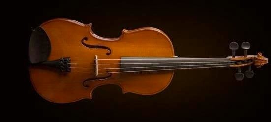 VİOLA KUTULU 15 5"(40cm) 2