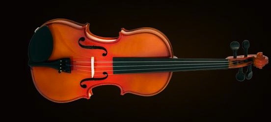 VİOLA KUTULU 15.5" (39,37cm) 1