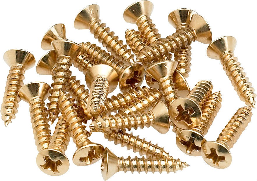 Fender Pickguard/Control Plate Mounting Screws 24 Gold Gitar Yedek Parça 2