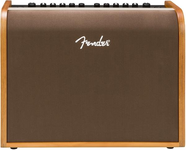 Fender Acoustic 100 UK Akustik Gitar Amfisi 2