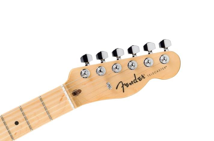 Fender Standard Telecaster Akçaağaç Klavye Butterscotch Blonde Elektro Gitar 4