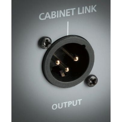 Blackstar Unity Bas U120 Kombo Bas Gitar Amfi 7