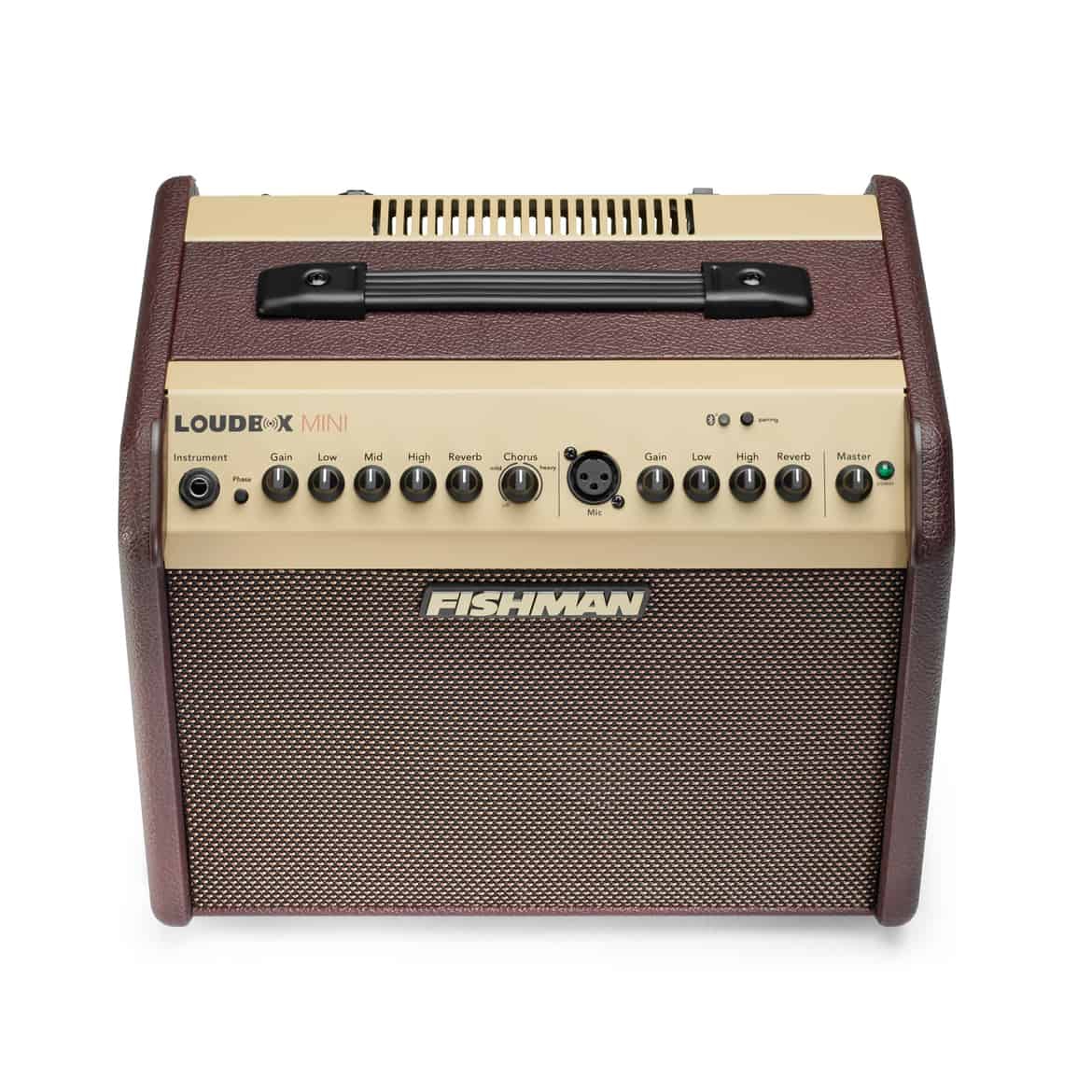 Fishman Loudbox Mini Bluetooth Akustik Amfi 2
