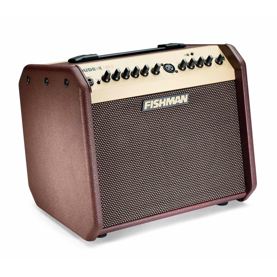 Fishman Loudbox Mini Bluetooth Akustik Amfi 3