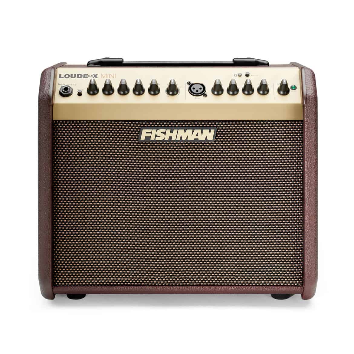 Fishman Loudbox Mini Bluetooth Akustik Amfi 1