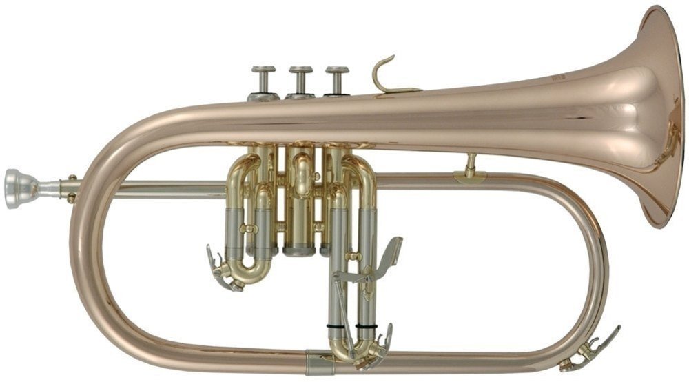 Roy Benson FH-302G Flugelhorn 1