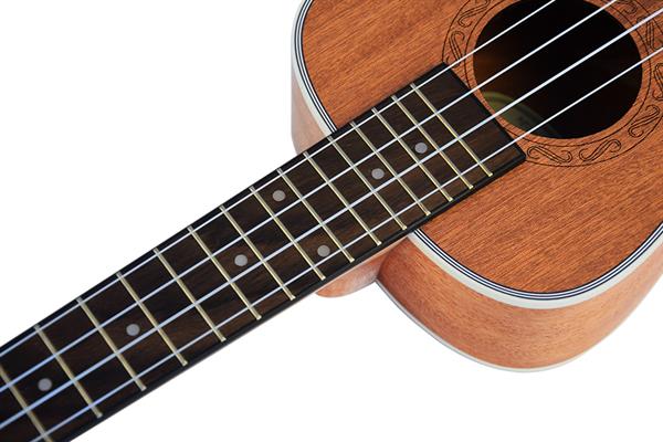 Tayste TUK200-24 Concert Ukulele 3