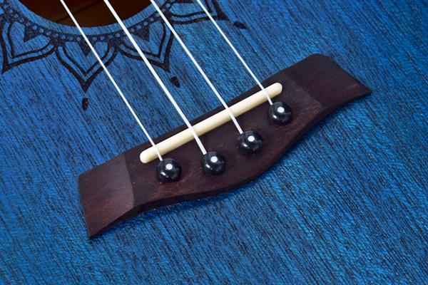 Kaysen U1-24BL Concert Ukulele 3