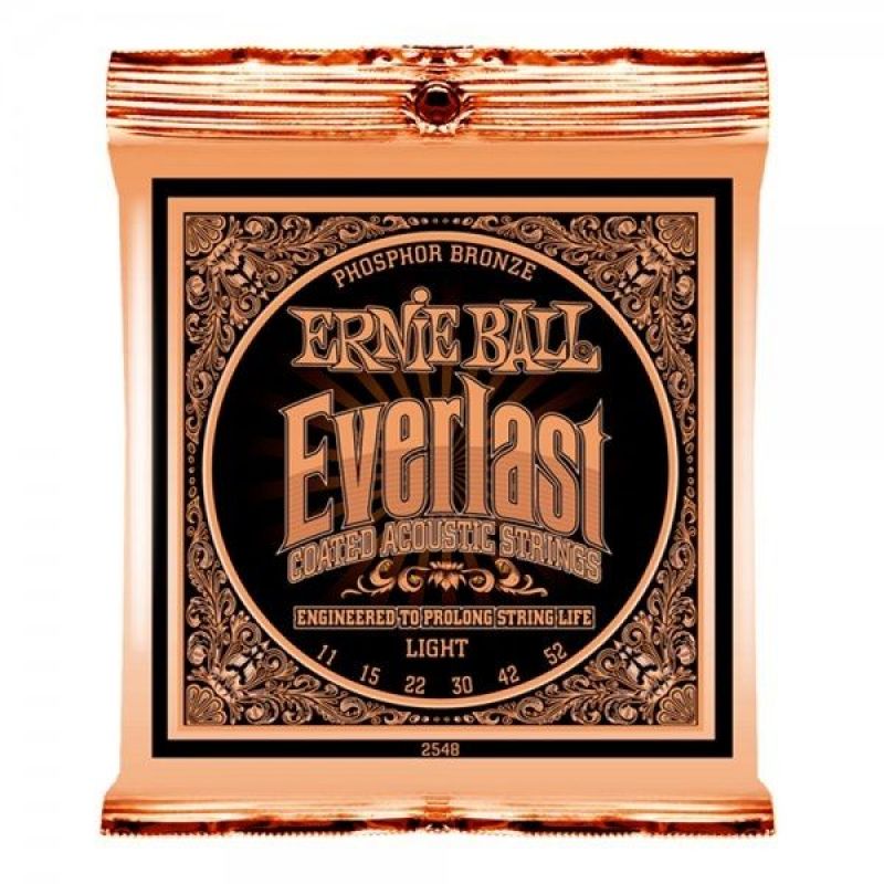 Ernie Ball P02548 Everlast Akustik Gitar Teli (Light) 1