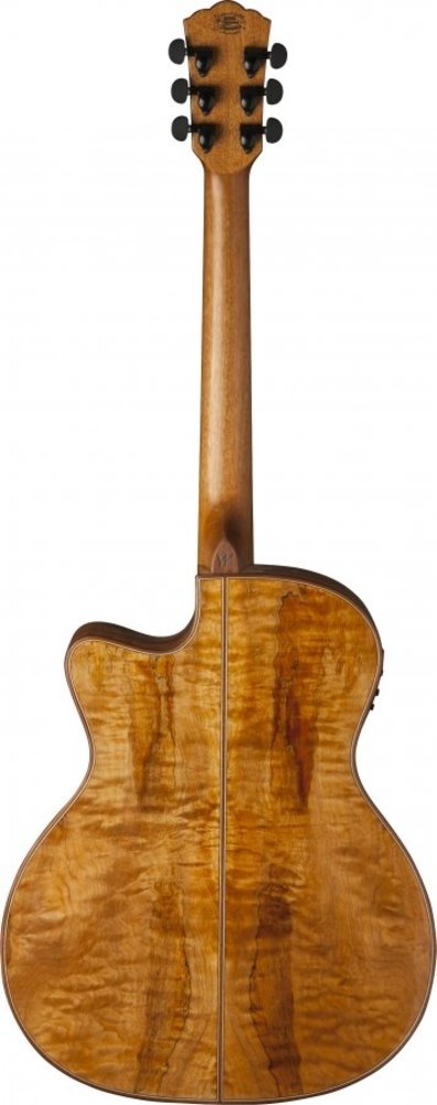 Washburn Comfort Serisi WCG66SCE  Elektro Akustik Gitar 2