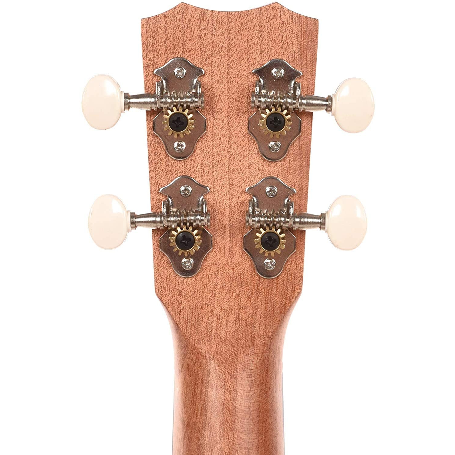 Cordoba Concert Ukulele Player Pack (Natural) 6
