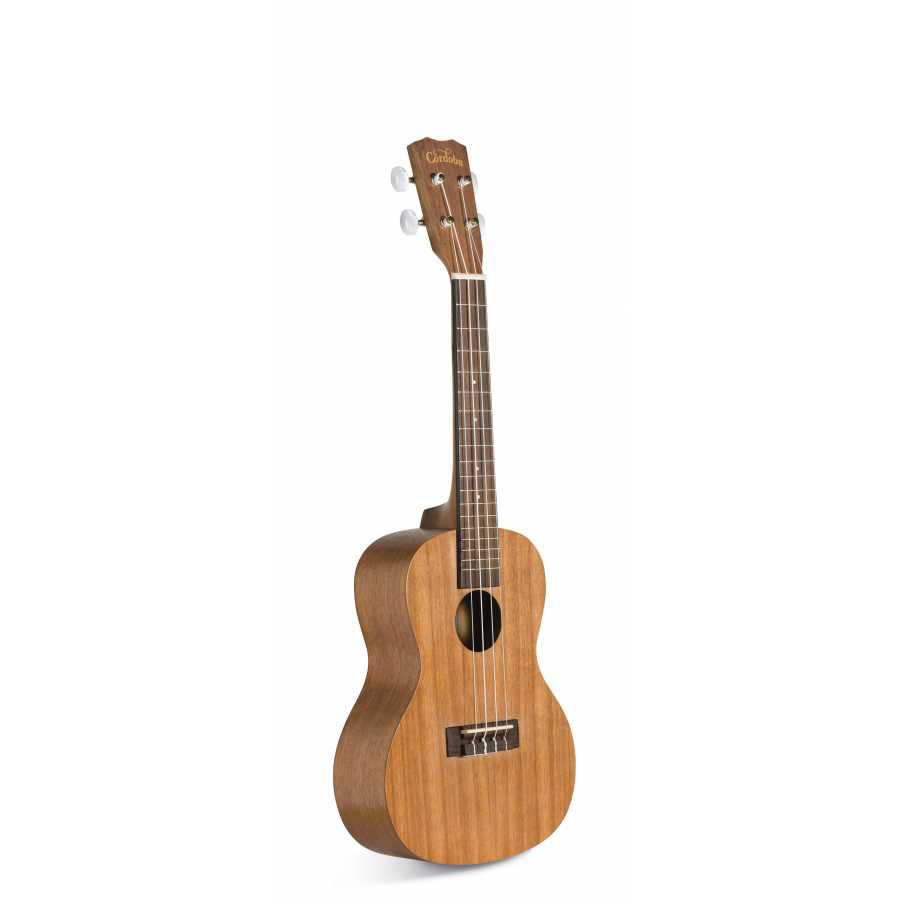 Cordoba UP100 Concert Ukulele Seti 3