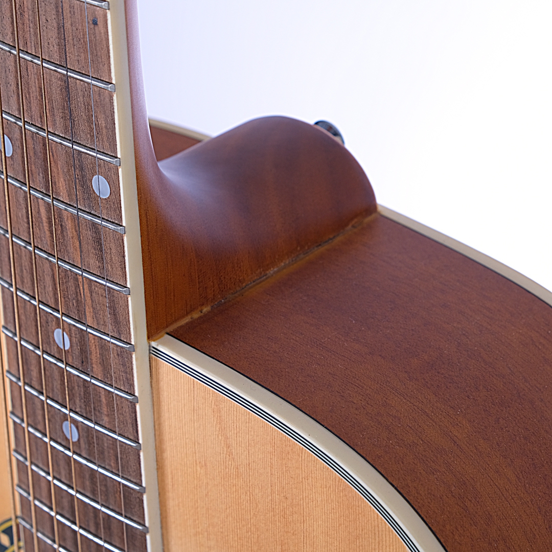 [Outlet] Ashton D25TNM Akustik Gitar (OL 23-23211) 2