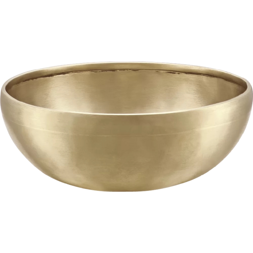 Meinl Sonic Energy SB-E-700 Energy Therapy Singing Bowl 6.4'' 1