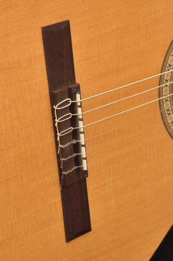 CAMPS NAC1 ECO ELEKTRO KLASİK GİTAR FISHMAN CLASSIC III 4