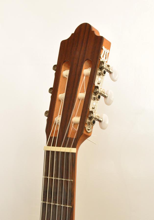 CAMPS NAC1 ECO ELEKTRO KLASİK GİTAR FISHMAN CLASSIC III 5