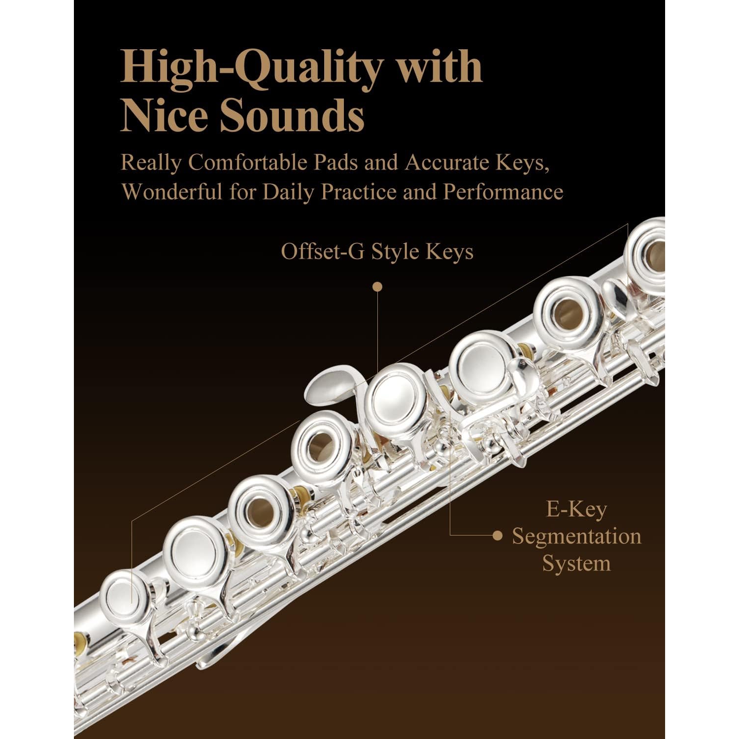 Eastar EFL-2 Yan Flüt (Gümüş Kaplama) 3